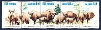 Wild Bison - Strip of 5 Poland, 1981